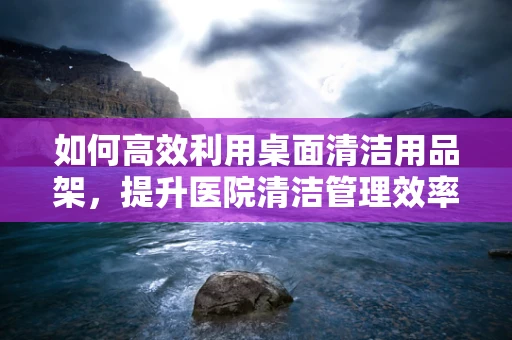 如何高效利用桌面清洁用品架，提升医院清洁管理效率？