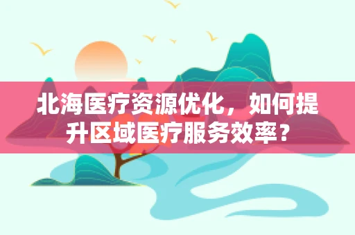 北海医疗资源优化，如何提升区域医疗服务效率？