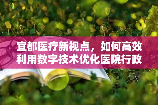 宜都医疗新视点，如何高效利用数字技术优化医院行政流程？