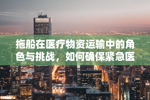 拖船在医疗物资运输中的角色与挑战，如何确保紧急医疗物资安全抵达？