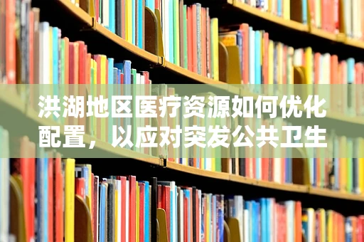 洪湖地区医疗资源如何优化配置，以应对突发公共卫生事件？