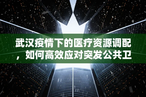 武汉疫情下的医疗资源调配，如何高效应对突发公共卫生事件？