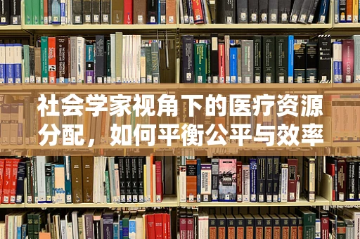 社会学家视角下的医疗资源分配，如何平衡公平与效率？