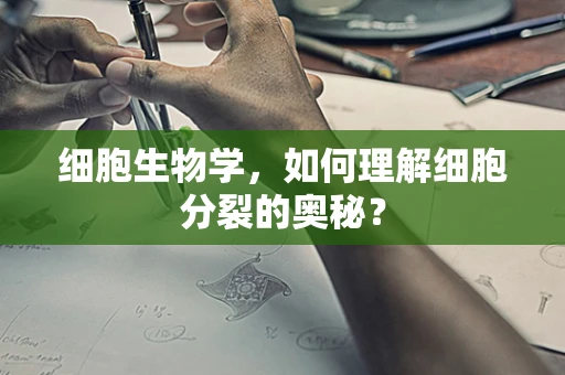 细胞生物学，如何理解细胞分裂的奥秘？