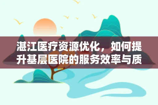 湛江医疗资源优化，如何提升基层医院的服务效率与质量？