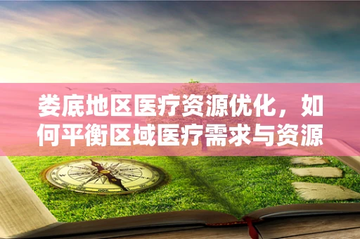 娄底地区医疗资源优化，如何平衡区域医疗需求与资源分配？