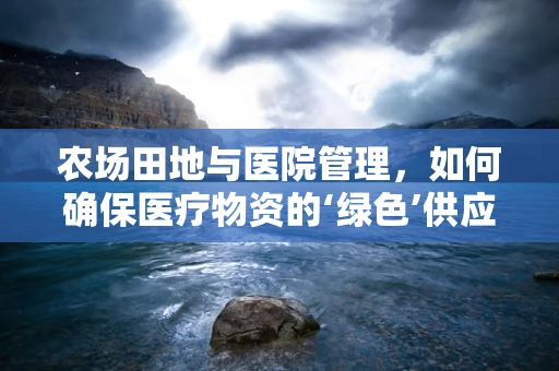 农场田地与医院管理，如何确保医疗物资的‘绿色’供应链？