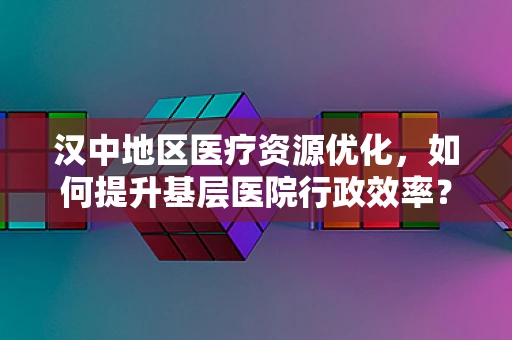 汉中地区医疗资源优化，如何提升基层医院行政效率？