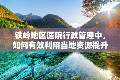 铁岭地区医院行政管理中，如何有效利用当地资源提升医疗服务效率？