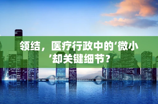 领结，医疗行政中的‘微小’却关键细节？