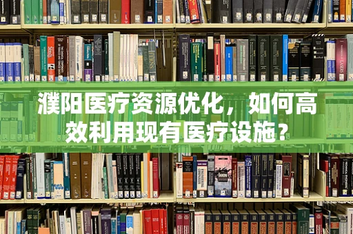 濮阳医疗资源优化，如何高效利用现有医疗设施？