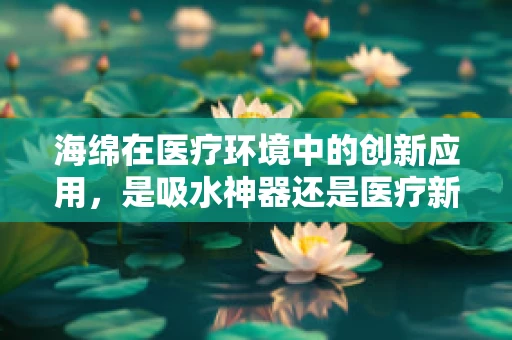 海绵在医疗环境中的创新应用，是吸水神器还是医疗新星？