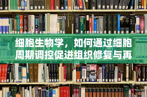 细胞生物学，如何通过细胞周期调控促进组织修复与再生？