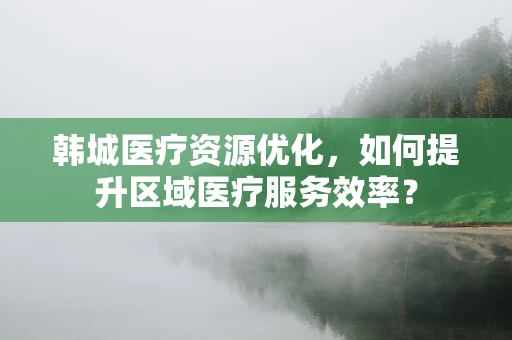 韩城医疗资源优化，如何提升区域医疗服务效率？