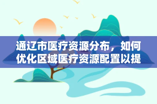 通辽市医疗资源分布，如何优化区域医疗资源配置以提升服务效率？