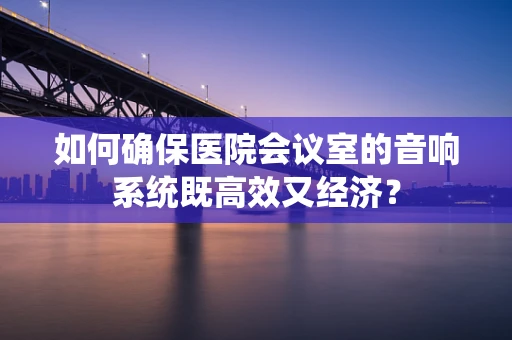 如何确保医院会议室的音响系统既高效又经济？