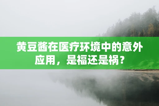 黄豆酱在医疗环境中的意外应用，是福还是祸？