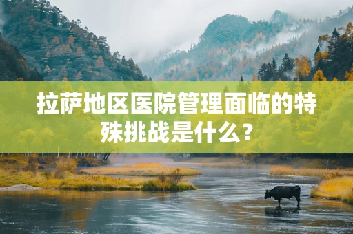 拉萨地区医院管理面临的特殊挑战是什么？