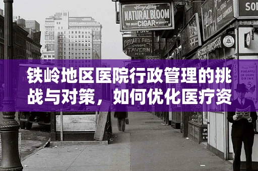 铁岭地区医院行政管理的挑战与对策，如何优化医疗资源分配？