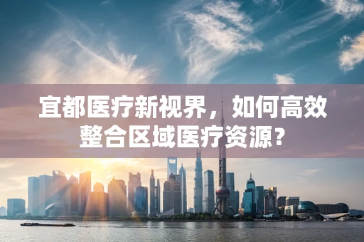 宜都医疗新视界，如何高效整合区域医疗资源？