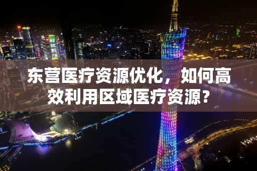 东营医疗资源优化，如何高效利用区域医疗资源？