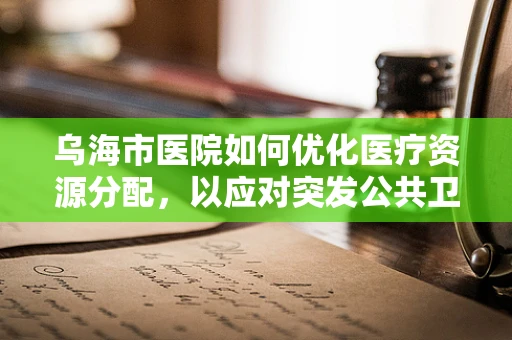 乌海市医院如何优化医疗资源分配，以应对突发公共卫生事件？