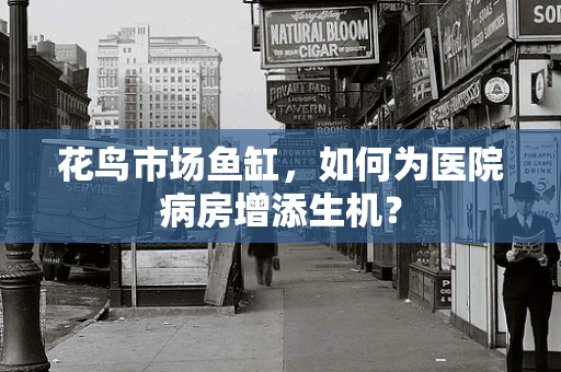 花鸟市场鱼缸，如何为医院病房增添生机？