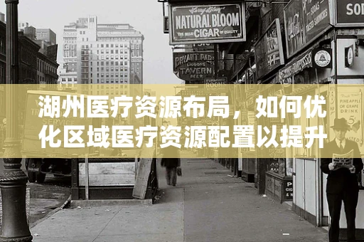 湖州医疗资源布局，如何优化区域医疗资源配置以提升医疗服务效率？