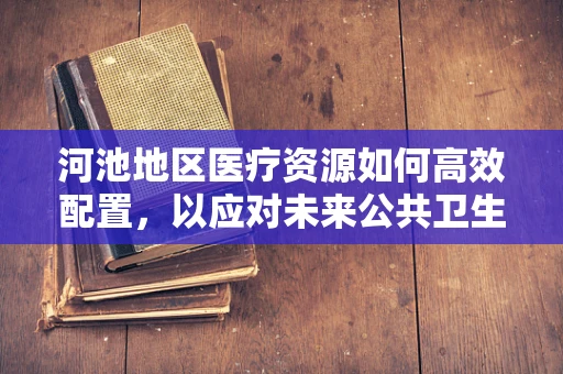 河池地区医疗资源如何高效配置，以应对未来公共卫生挑战？