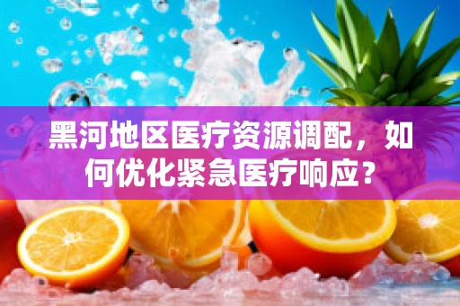 黑河地区医疗资源调配，如何优化紧急医疗响应？