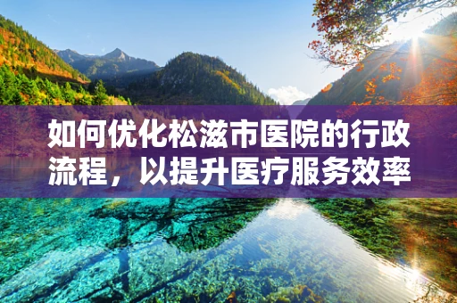 如何优化松滋市医院的行政流程，以提升医疗服务效率？